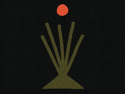 Ocotillo at Night agave brand branding color desert design drawing font illustration lockup logo logos new night ocotillo plant southwest tequila trends