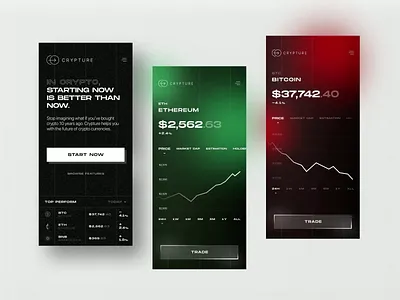 Crypture | The future of crypto starts now binance bitcoin blockchain btc coin crypto cryptocurrency dark theme ethereum fintech mobile ui nft token trade wallet website