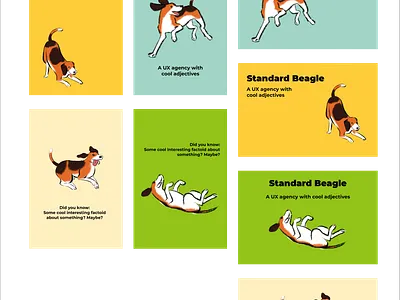 Business Card Design branding design graphic design