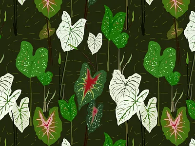 Mix Caladium Plant Pattern botanical caladium house plant pattern pattern design plants repeat pattern seamless pattern tropical plants