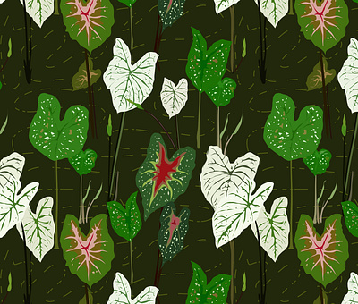 Mix Caladium Plant Pattern botanical caladium house plant pattern pattern design plants repeat pattern seamless pattern tropical plants
