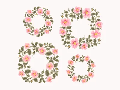 Rosa Canina Flower Frames aesthetic beauty bloom blossom botanical digital art feminine floral flower flower illustration frame garden hand drawn illustration nature pink rosa canina rose spring wreath