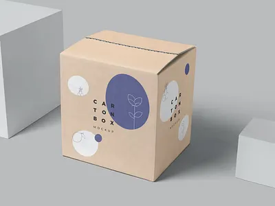 Carton Box Mockup app box branding design illustration logo mockup packaging packaging design