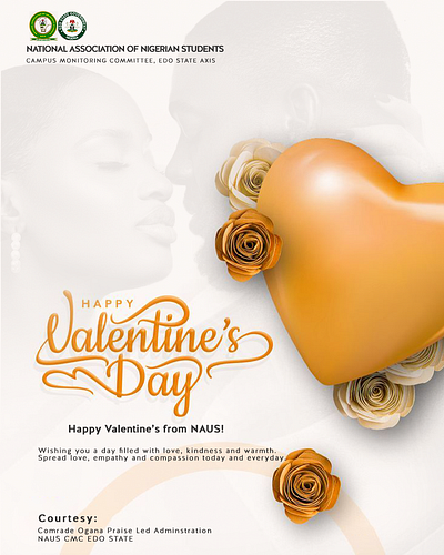 Valentine's Day flyer design design graphic design