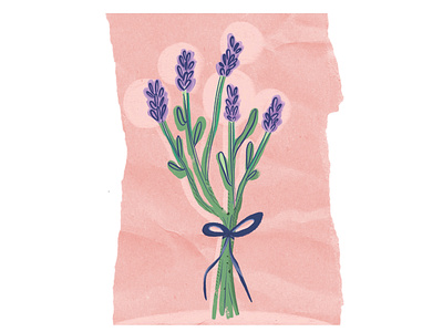 Lavender adobe illustrator adobe photoshop flowers herbs illustration lavender paper texture pink procreate texture true grit texture supply