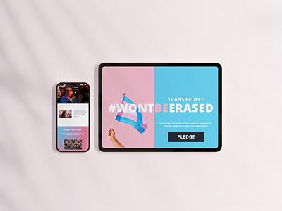 Trans Rights Campaign by Julia Barry activism activist blue design empowering gender gender justice julia barry pink politics sketch social good social justice trans trans rights transgender web designer white