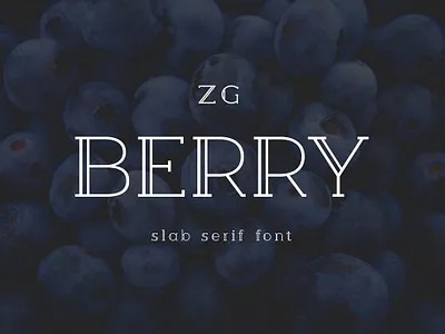 Berry Slab Serif Font berry slab serif font brand branding cool decorative display double fun geometric headline inline logo modern poster retro serif slab title vintage