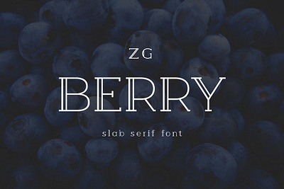 Berry Slab Serif Font berry slab serif font brand branding cool decorative display double fun geometric headline inline logo modern poster retro serif slab title vintage