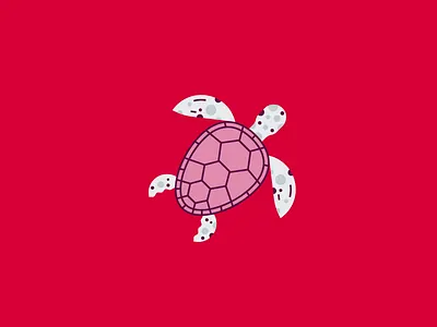 Turtle animal design flat icon illustration line logo minimal sea turtle vector