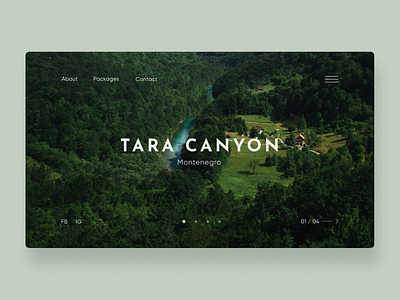 Travel website design landing ui ux webdesign