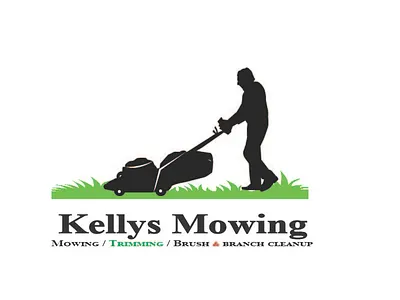 Vector Designing 3d animation branding design graphic design illustration logo vector