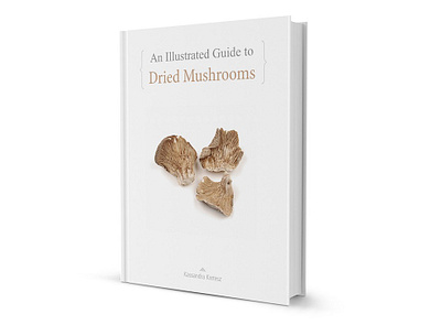 An illustrated guide for dried mushroom artbook book concept graphic design illustration photography