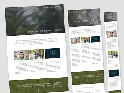Stem Financial - Website design & development - WordPress branding design logo ui ux web