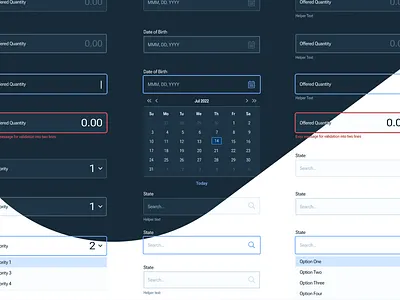 Light/Dark Inputs dark mode date picker design system dropdown fintech inputs light mode ui uxui validation