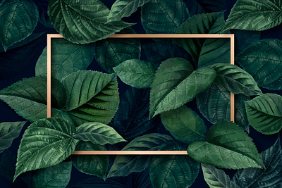 Frame: Rainforest Leaves | Nature Inspired Design Space background botanical background botanical borders design space digital art frame graphic graphic design green illustration illustrator inspiration jungle leaf frame leave textured background tropical tropical background vector wallpaper