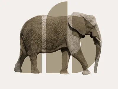 Ivory Base - Real Estate design icon logo typography