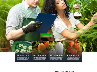 Organic & Plant nursery Design css design gardening organic plant store webdesign wp