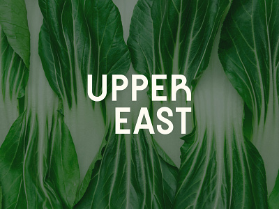 Uppereast branding design logo typography