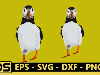 cute puffin vector cute puffin graphic nature ice illustration svg white