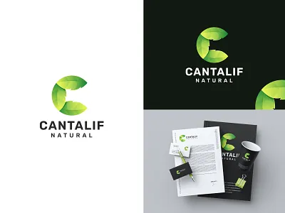 Letter C + leaf unused logo concept.. app branding c letter logo colorful logo cool logo design fresh logo gradient logo green logo illustration leaf logo logo modern logo nature logo
