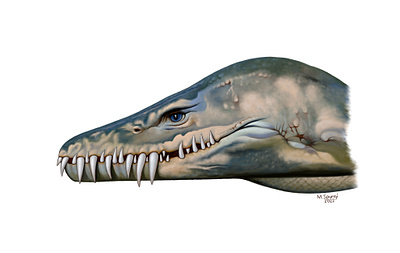Hydrotherosaurus animal extinct illustration painting paleoart paleontology reconstruction