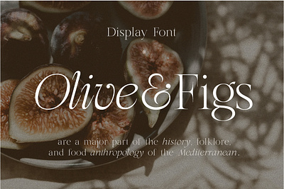 Olive & Figs - Classic Regal Serif aesthetics branding classic creative market editorial design font graphic design logo design regal serif type design typeface typography