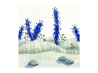 Blue growth abstract beach blue cacti cactus design forms fungi grass green illustration lines marine mountain painting plants stones underwater watercolor watercolour