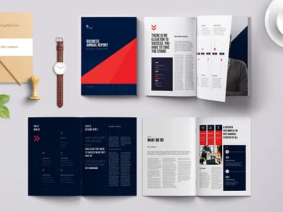 Annual Report annual report bifold brochure booklet branding brochure business corporate design