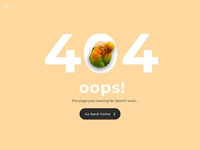 Daily Ui 008 008 404 dailyui error