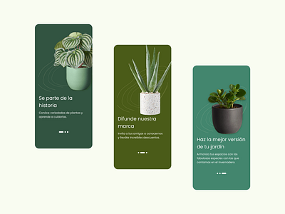 Plants app dailyui design figma ui uidesign