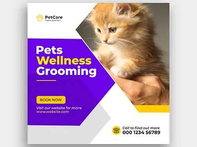 Pet care social media post banner Design banner banners branding corporate design creative design design graphic design pet care social media post ui web banners