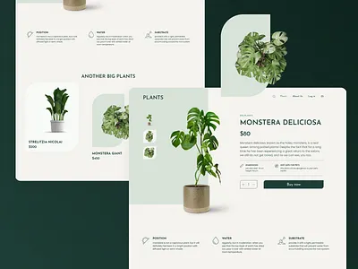 WordPress / WooCommerce based e-commerce shop ecommerce plugin shop woocommerce wordpress