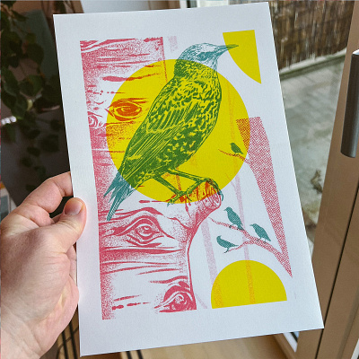 Starling Risograph` 2d abstract animal bird birds collage colorful geometric illustration landscape nature printmaking retro riso risograph starling stylized vintage