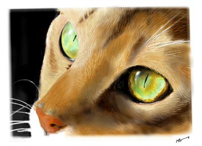 "CatEYES" belleza cat cuento cuentos dibujo drawing illustration ilustracion natural