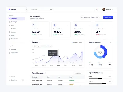 Zevhir - Analytics Dashboard analytics audience branding business campaign chart conversion rate dashboard design design system dipa inhouse funnels google analytic impression management ui design ux design web app web design website