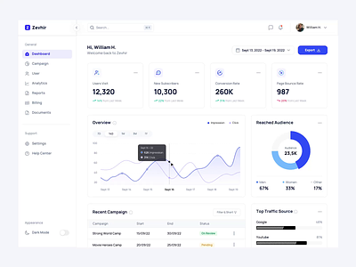 Zevhir - Analytics Dashboard analytics audience branding business campaign chart conversion rate dashboard design design system dipa inhouse funnels google analytic impression management ui design ux design web app web design website