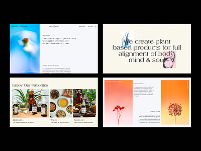 Plant Based Product · Dr Drops · Web branding clean cool ecommerce flowers health marketplace minimal nature plant based plants product design sexy typography ui ux web design