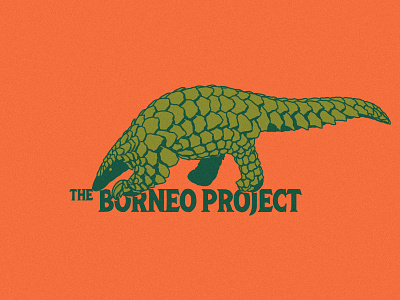 The Borneo Project Pangolin