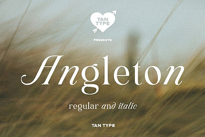 TAN - ANGLETON classic font classy font classy invitation duo font elegant elegant logo fashion fashion font fashionable italic font retro font serif font serif typeface stylish stylish font stylish trendy tantype true italics wedding font wedding invitation