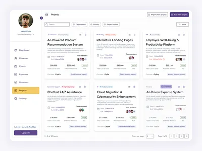 Business Budget Manager app desktop ui user research ux web design