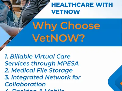 VetNow graphic design