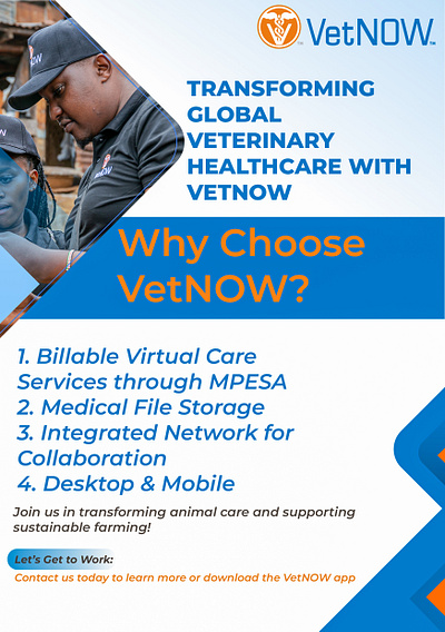 VetNow graphic design