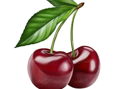 Cherry berries cherry cherry clip art cherry clipart digital art digital illustration illustration png