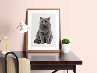 Felix digital art digital illustration digital portrait illustration pet portrait png