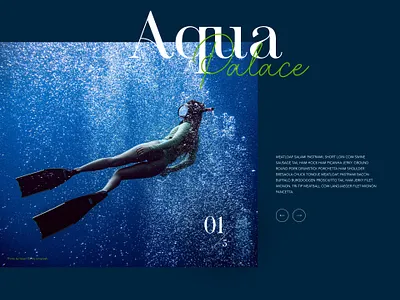 Image carousel concept carousel design image slider ux web design