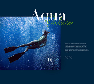 Image carousel concept carousel design image slider ux web design