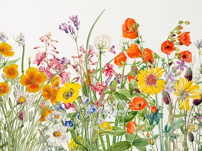 Vintage Field of Flowers PNG | Aesthetic Illustration border colorful design digital art drawing floral floral pattern flower graphic graphic design illustration layer photoshop png print vector vintage vintage flower watercolor watercolor designs