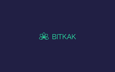 Bitkak Crypto — Digital Product Design app branding design logo typography ui ux vector