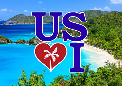 United States Virgin Islands brand branding caribbean design graphic design identity illustration island islands logo travel ui united states usa usvi virgin visual