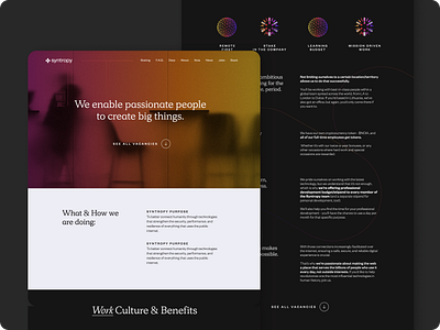 Syntropy branding creative studio design design studio graphic design illustration typography ui ux uxui visual design web design web3 website